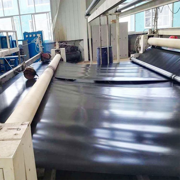 Geomembrane