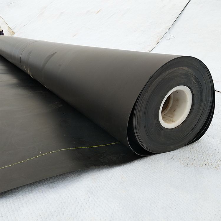 Geomembrane