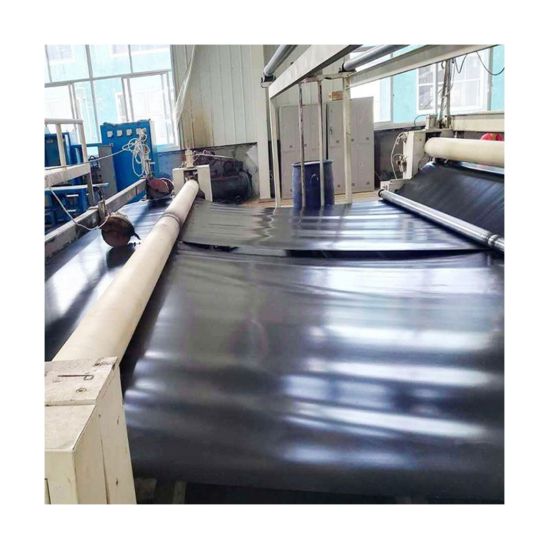 Geomembrane