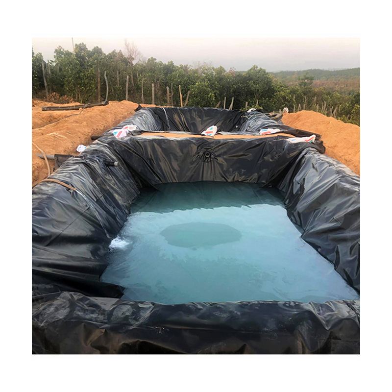 Geomembrane