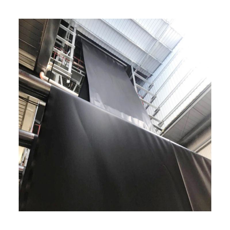 Geomembrane