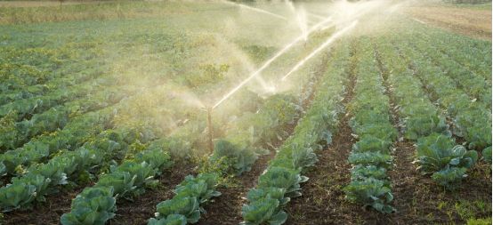 PVC Pipes in Smart Agricultural Irrigation Systems