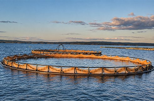 HDPE Round Fish Cage